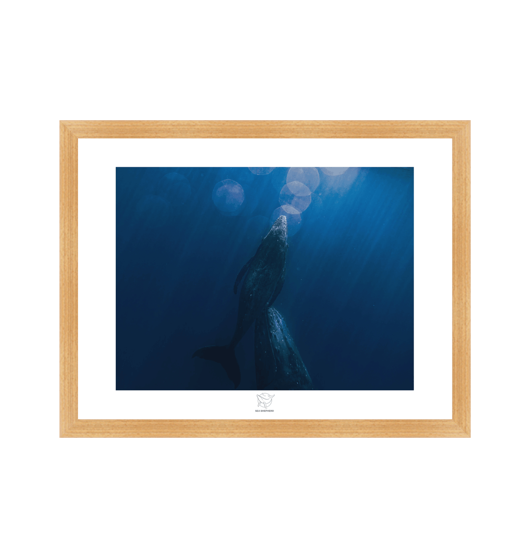 Natural Frame Fine art print Front